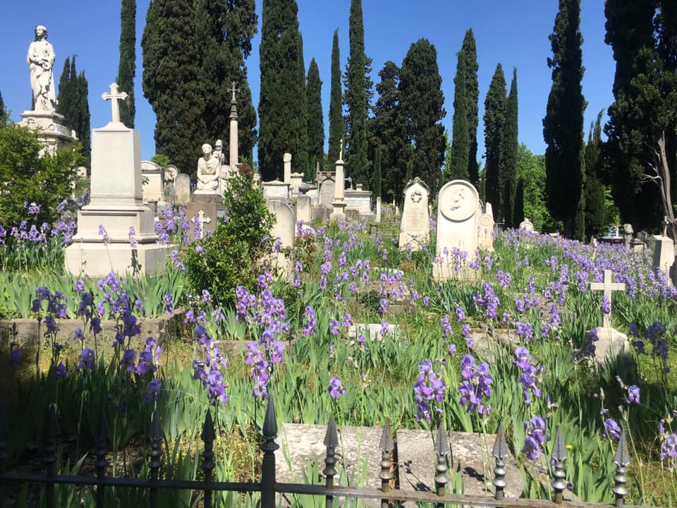 The English Cemetery: A Melancholic Spoon River
