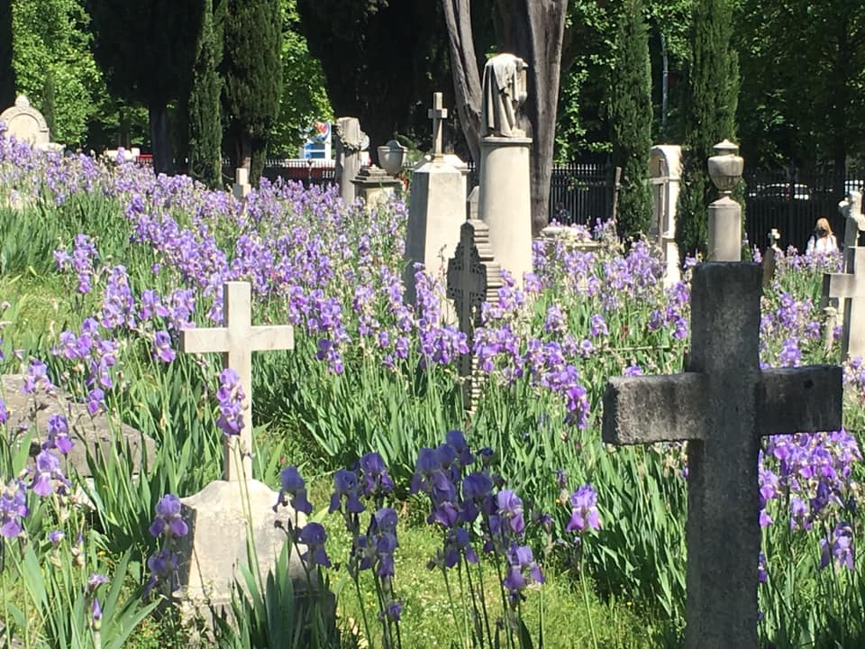The English Cemetery: A Melancholic Spoon River