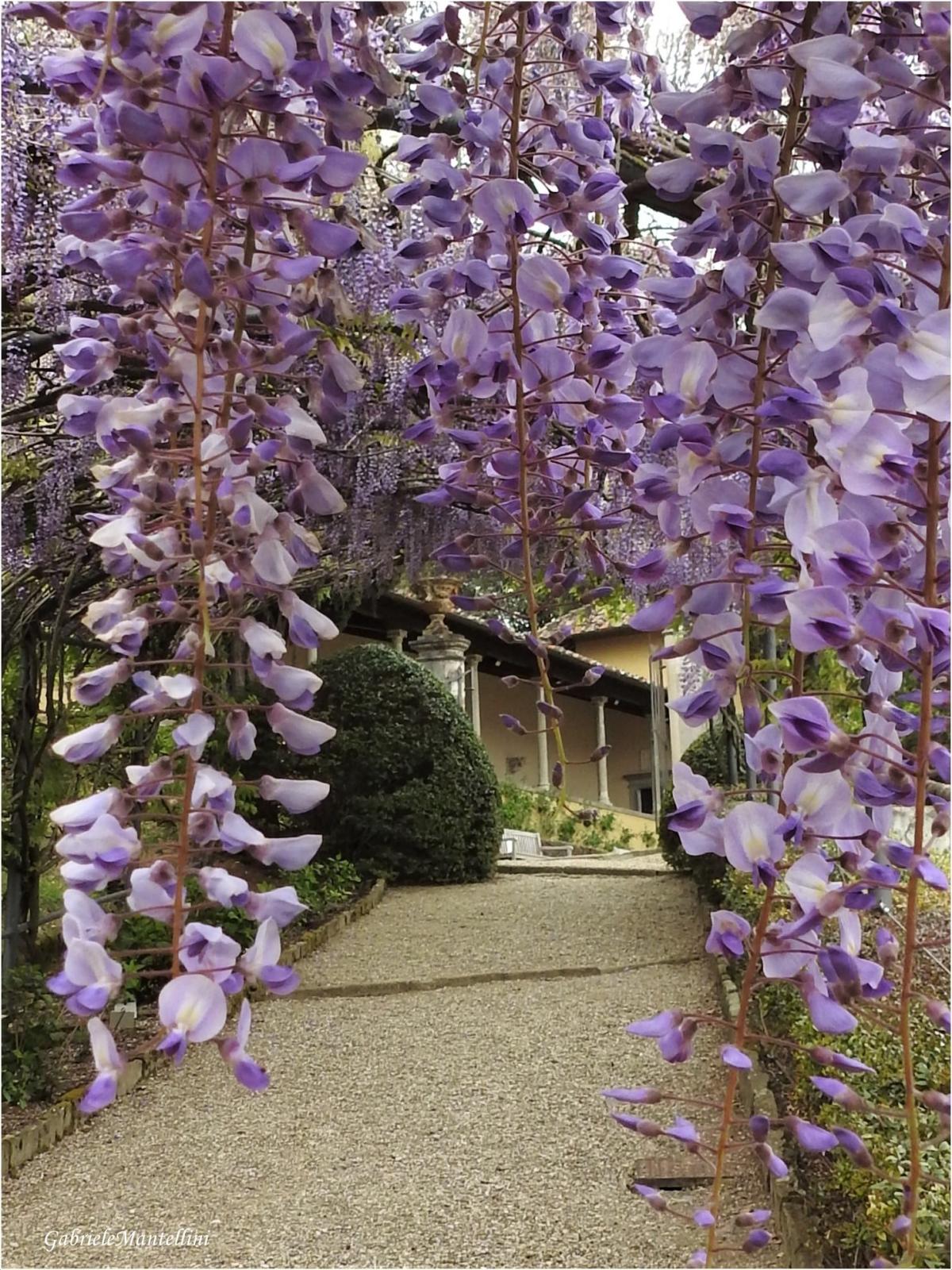 I Gloriosi Giardini di Firenze: Boboli and Bardini