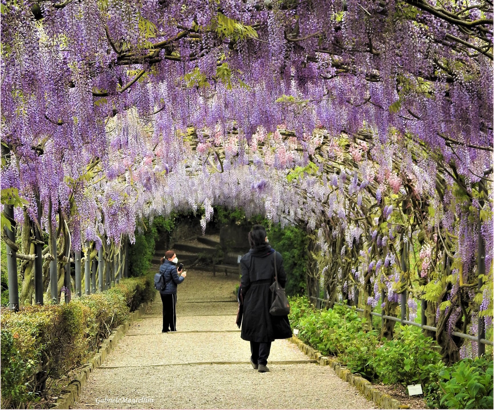 I Gloriosi Giardini di Firenze: Boboli and Bardini