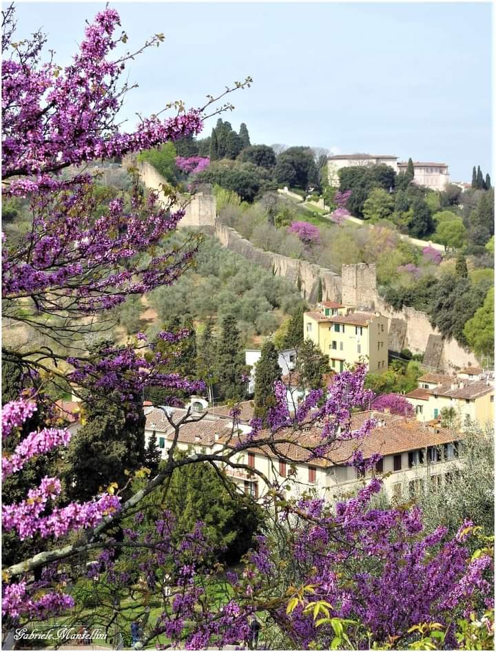 I Gloriosi Giardini di Firenze: Boboli and Bardini