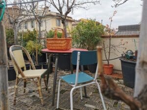 19 - food tour- urban picnic