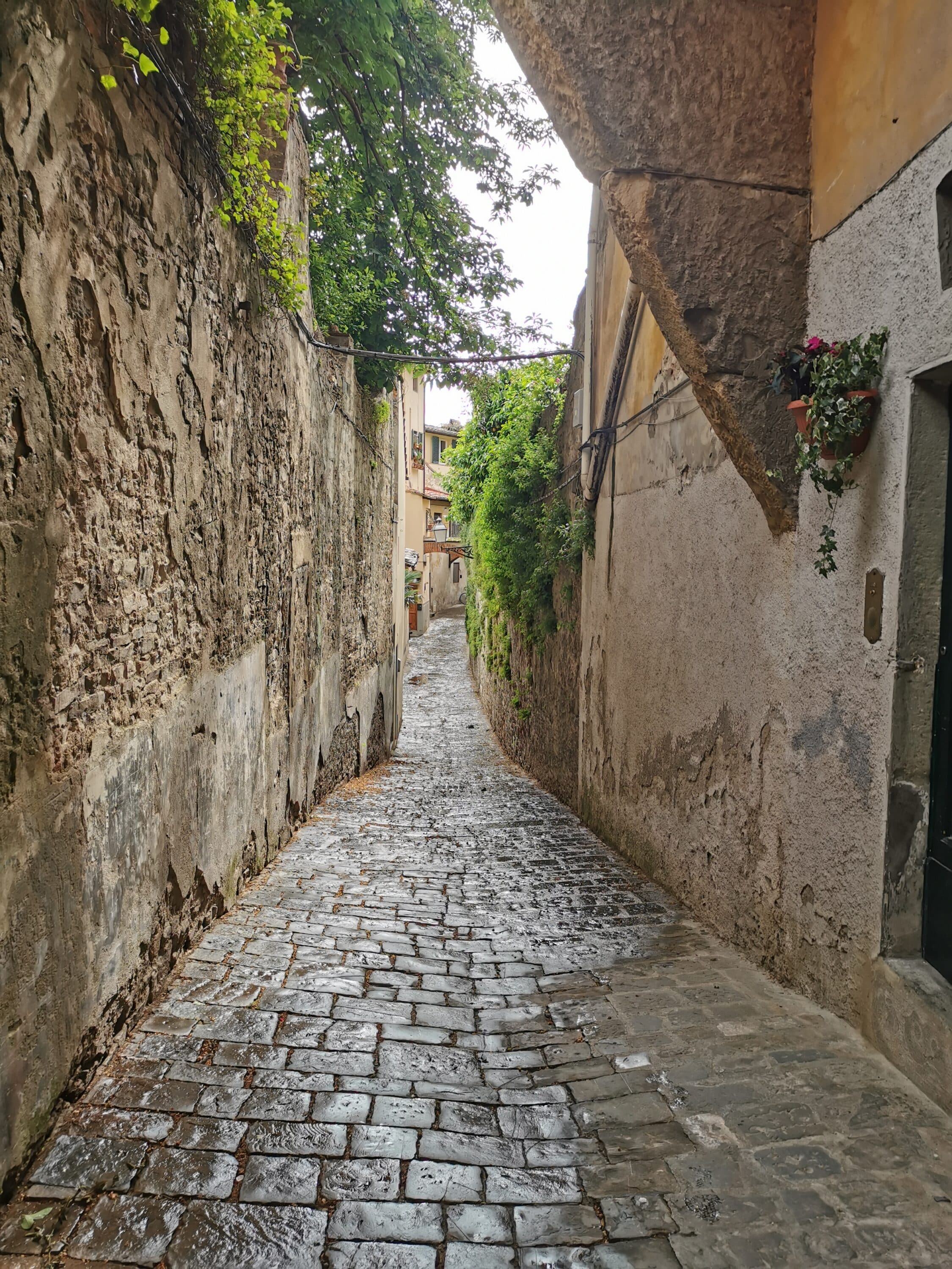 2A - Canneto - Oltrarno