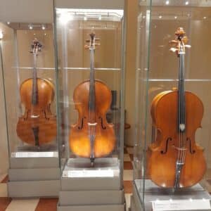 Accademia-cello-amati