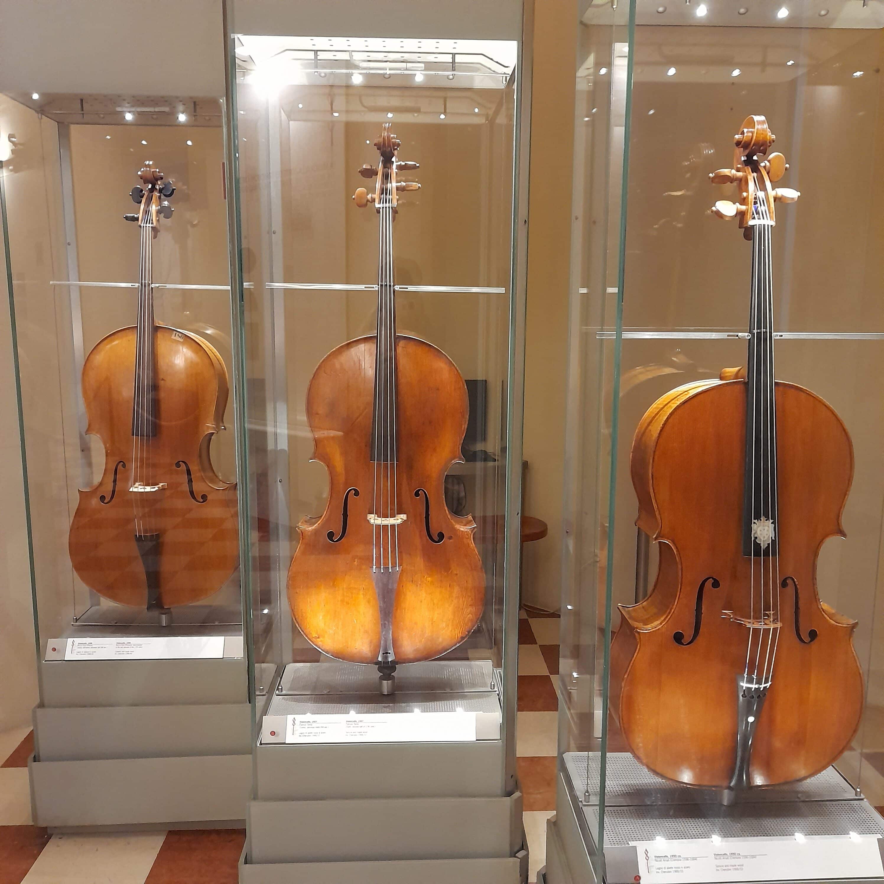 Accademia-cello-amati