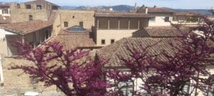 bardini-palazzo-mozzi