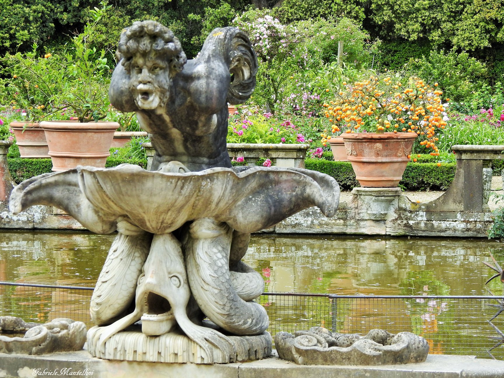 boboli - dettaglio - fontana - arpie