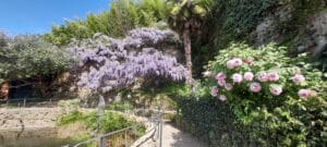 giardino-rose-san-niccolo