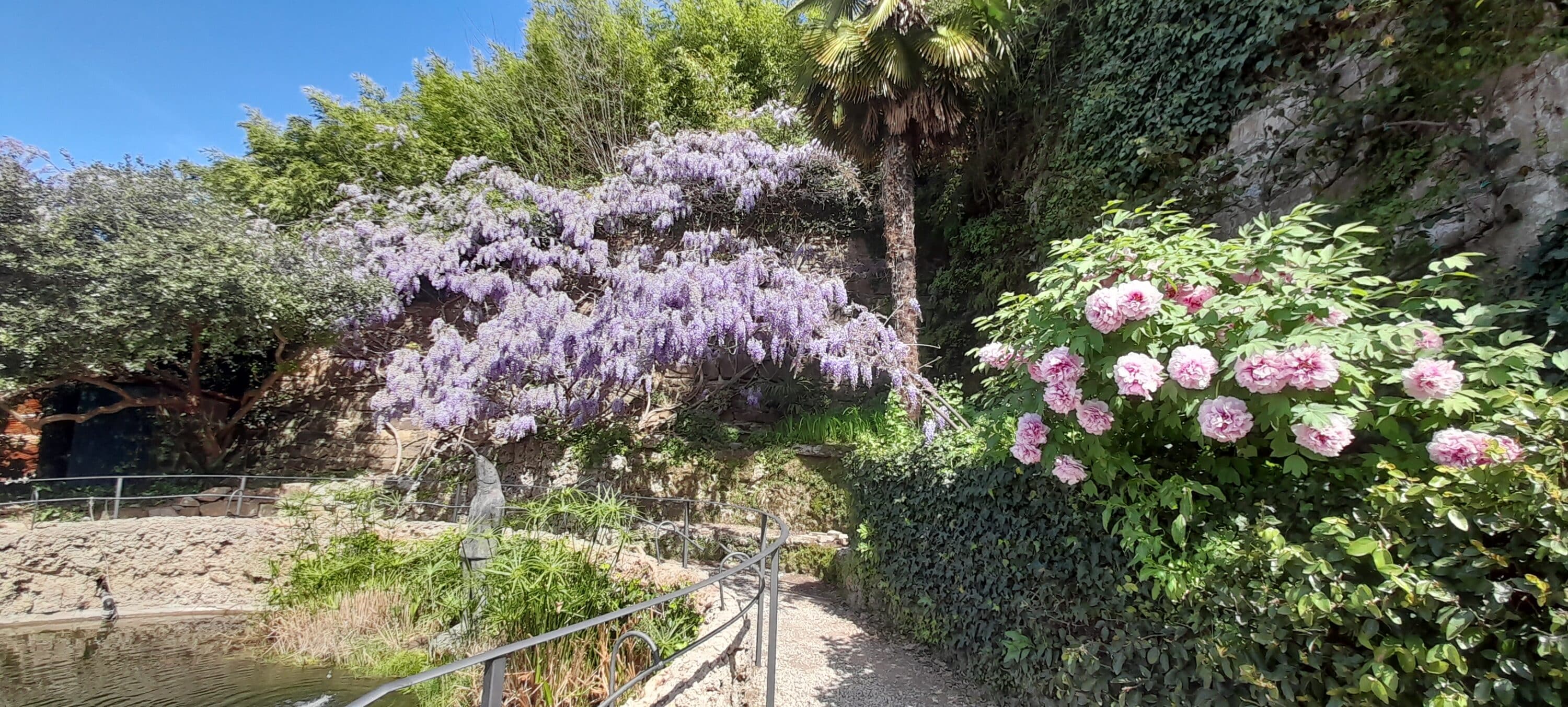 giardino-rose-san-niccolo