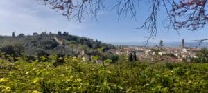 mura-medievali-firenze